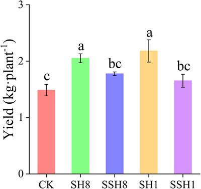 Crop Rotation With Cress Increases Cucumber Yields by Regulating the Composition of the Rhizosphere Soil Microbial Community